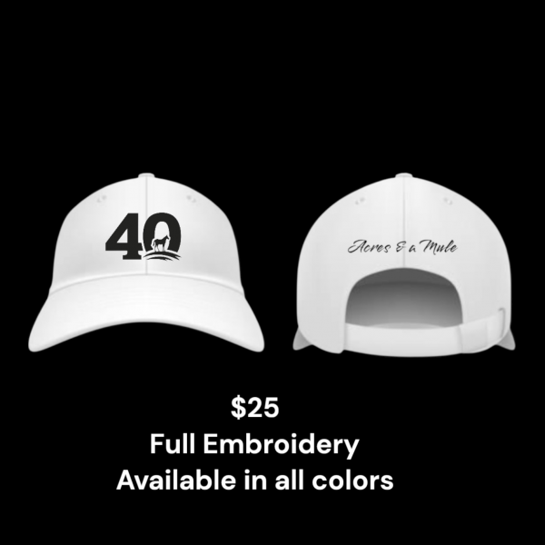 40 Acres & A Mule Logo Baseball Cap