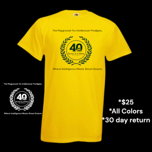 40 Acres & A Mule The Playground For Intellectual Prodigies Tee
